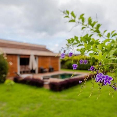 Grand Bay Luxury Villa With Pool & Garden Екстер'єр фото